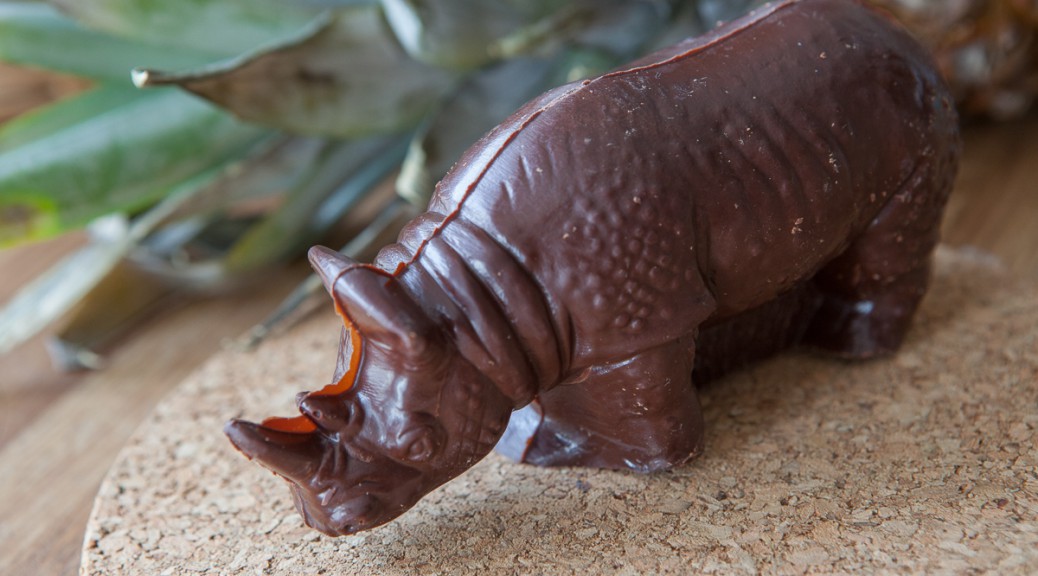 Chocolate rhino