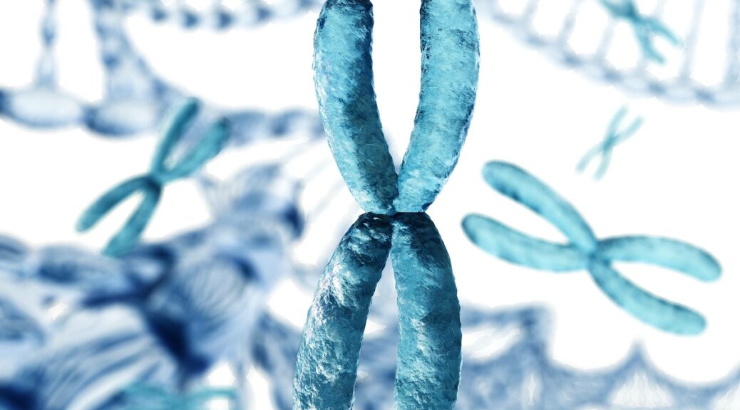X chromosome and DNA, 3D rendering