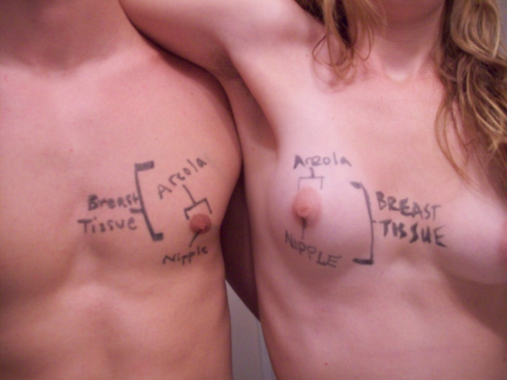 "Male" and "female" breast comparison