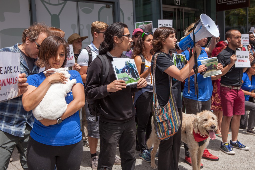 Direct Action Everywhere protest at Chipotle