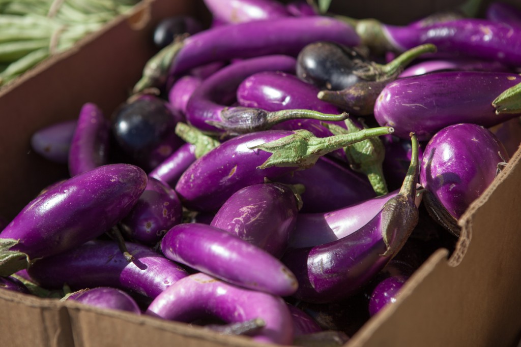 Eggplants at the Free Farm Stand