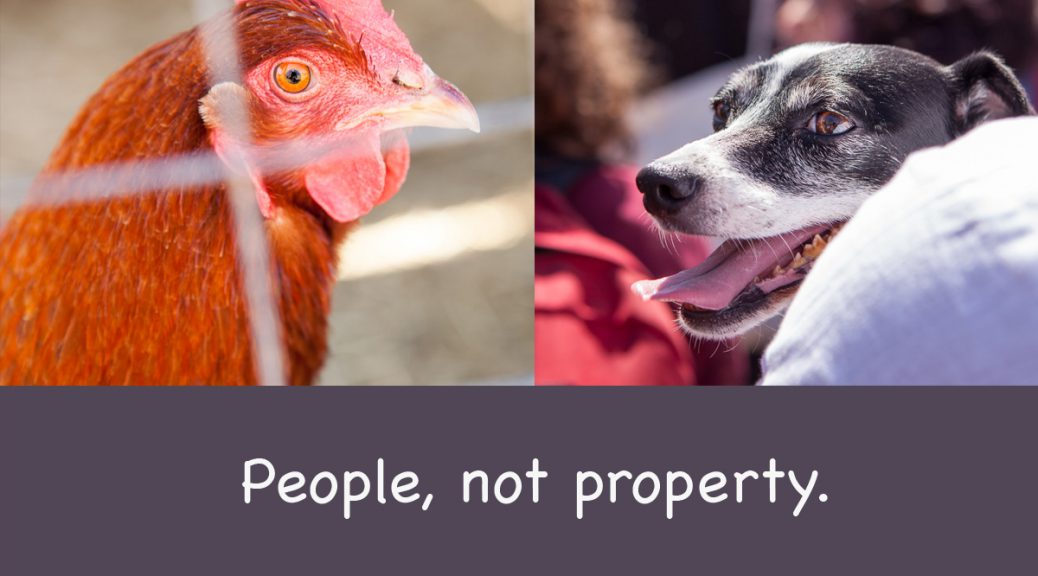 People, not property