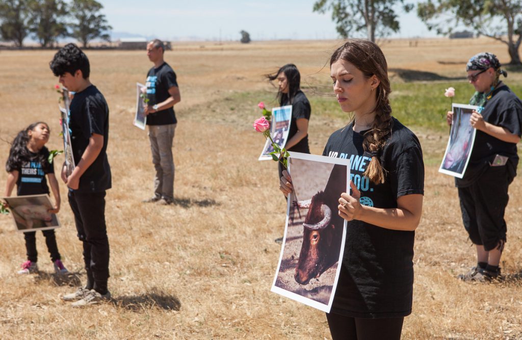 Mourners with animal photos