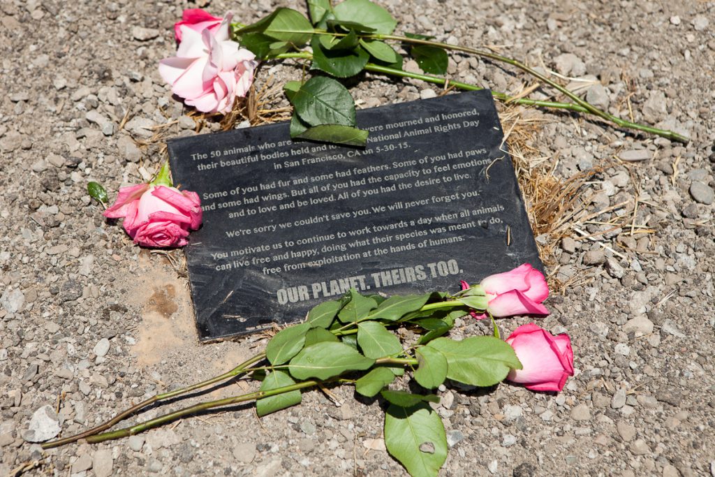 Plaque at grave site