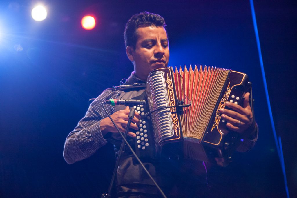 Accordion player at Rock Against the TPP