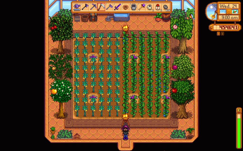 Stardew Valley greenhouse