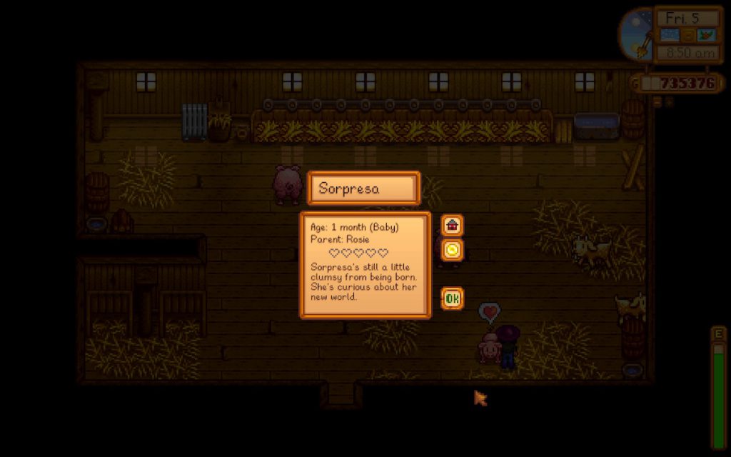 Stardew Valley newborn pig