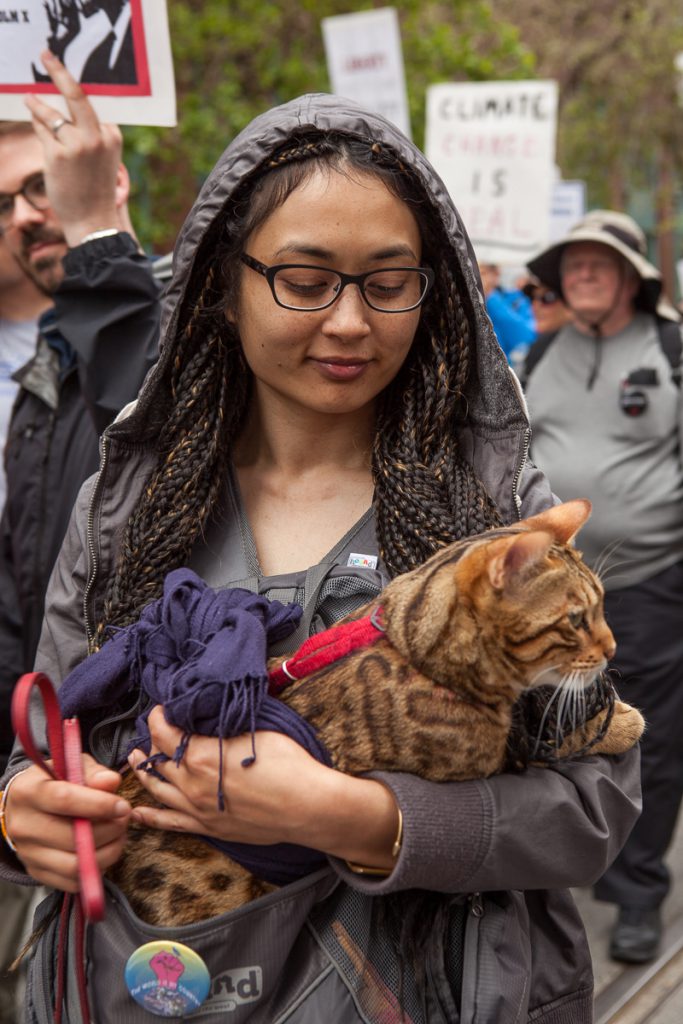 Marching with cat